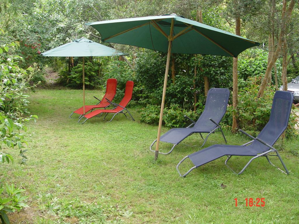 Cabanas El Bosque Patagonico Frutillar Bilik gambar