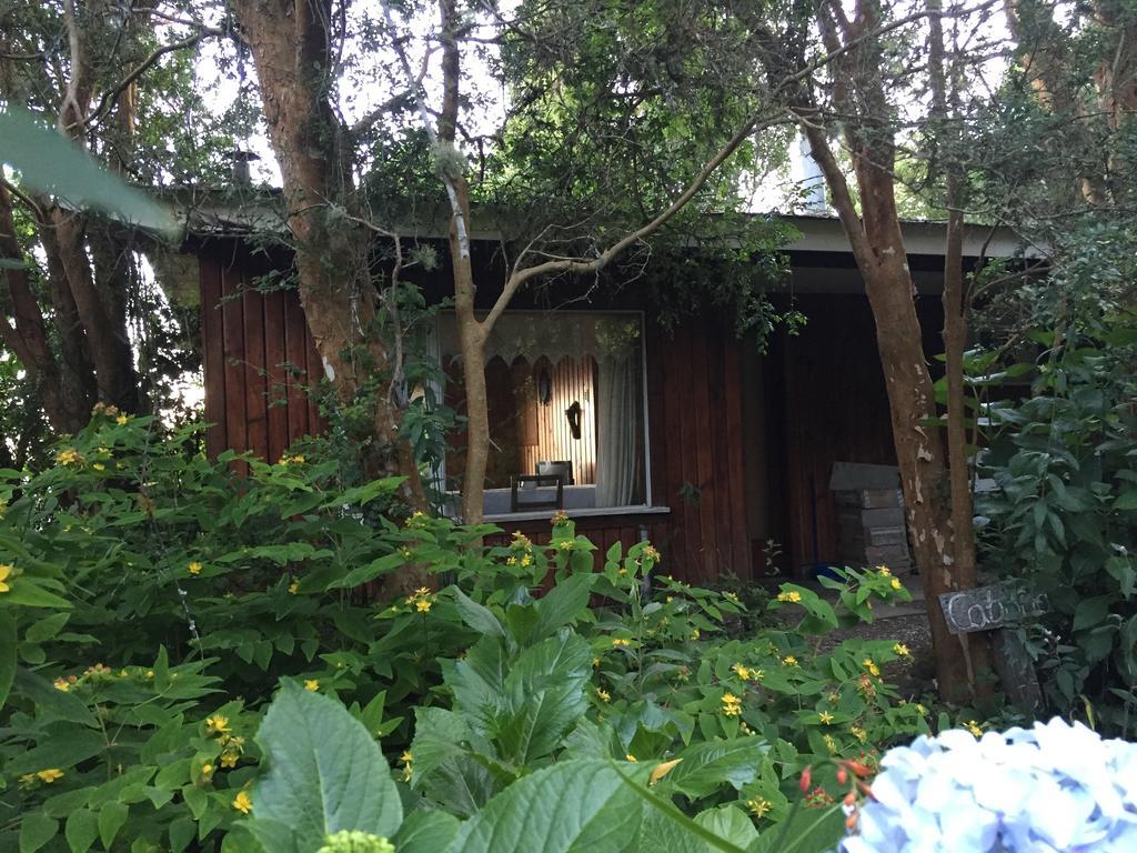 Cabanas El Bosque Patagonico Frutillar Luaran gambar