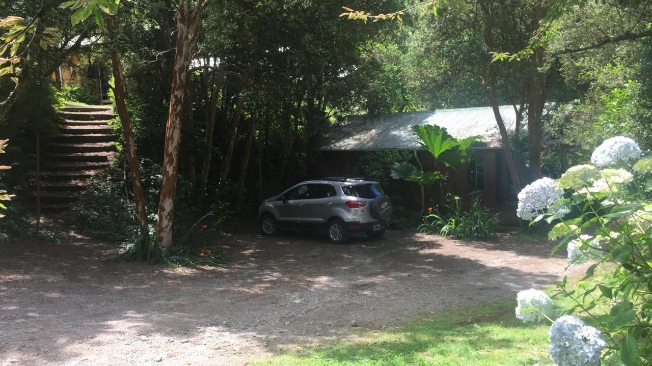 Cabanas El Bosque Patagonico Frutillar Luaran gambar