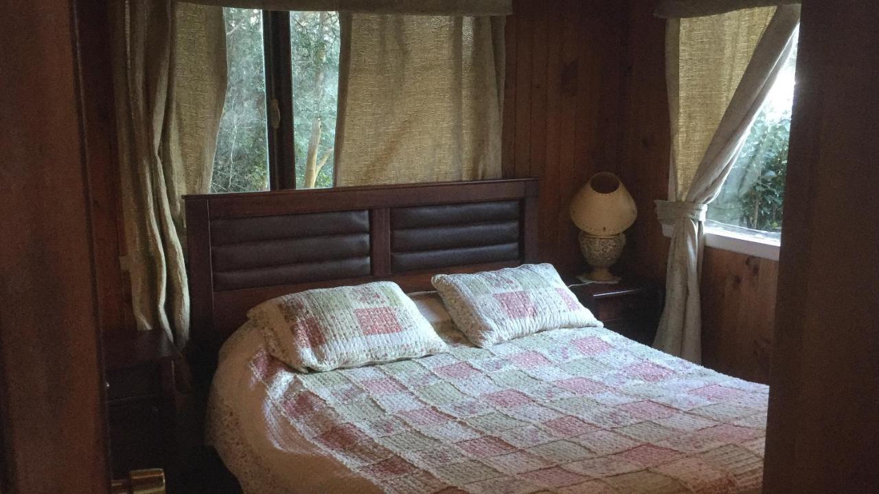 Cabanas El Bosque Patagonico Frutillar Luaran gambar